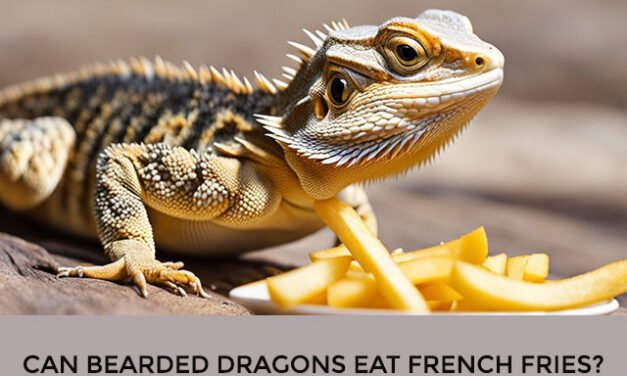Can Bearded Dragons Eat French Fries?