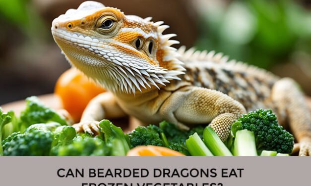 Can Bearded Dragons Eat Frozen Vegetables?