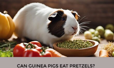Can Guinea Pigs Eat Pretzels?