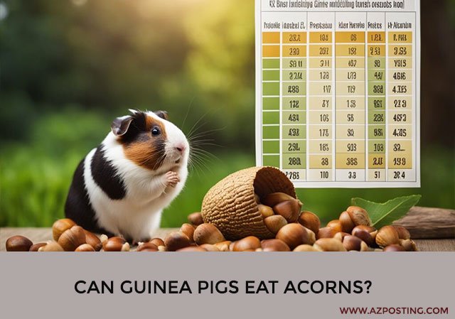 Can Guinea Pigs Eat Acorns?