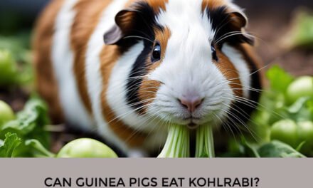 Can Guinea Pigs Eat Kohlrabi?