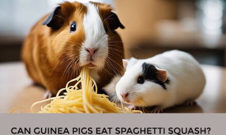 Can Guinea Pigs Eat Spaghetti Squash?