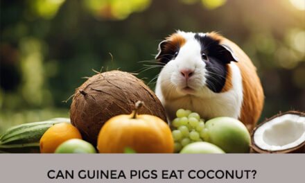 Can Guinea Pigs Eat Coconut?