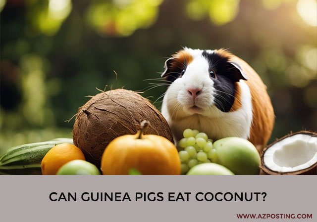 Can Guinea Pigs Eat Coconut?