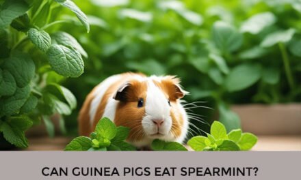 Can Guinea Pigs Eat Spearmint?