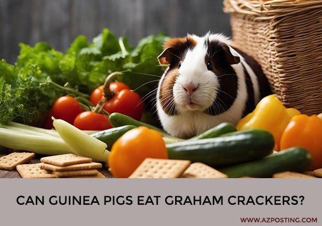 Can Guinea Pigs Eat Graham Crackers?