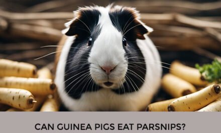 Can Guinea Pigs Eat Parsnips?