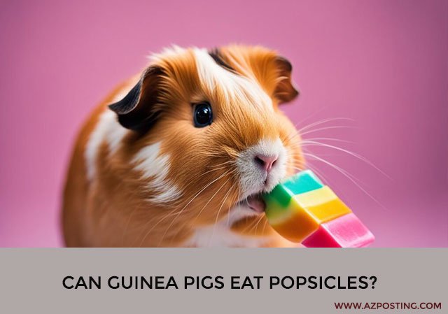 Can Guinea Pigs Eat Popsicles?