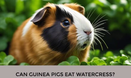 Can Guinea Pigs Eat Watercress?