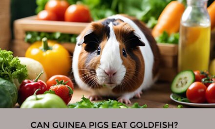 Can Guinea Pigs Eat Goldfish?