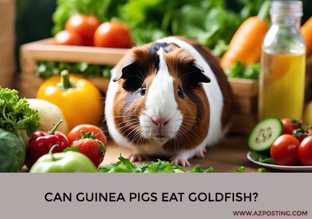Can Guinea Pigs Eat Goldfish?