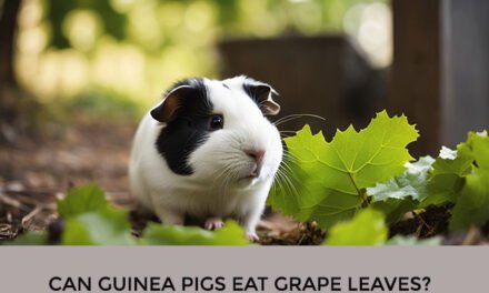 Can Guinea Pigs Eat Grape Leaves?