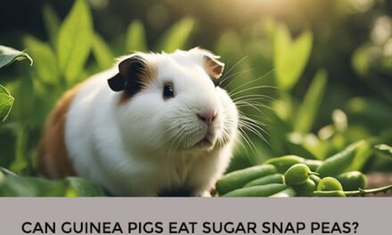 Can Guinea Pigs Eat Sugar Snap Peas?