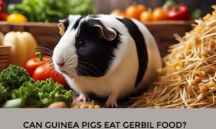 Can Guinea Pigs Eat Gerbil Food?