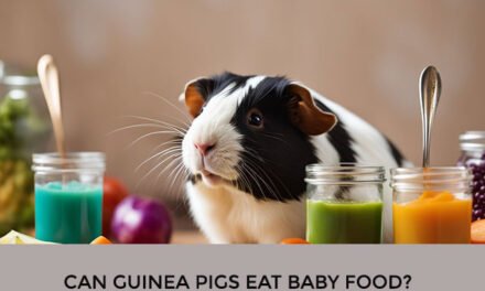 Can Guinea Pigs Eat Baby Food?