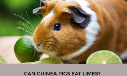 Can Guinea Pigs Eat Limes?