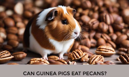 Can Guinea Pigs Eat Pecans?