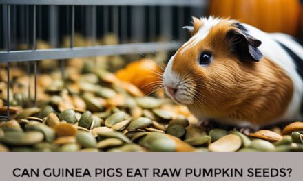Can Guinea Pigs Eat Raw Pumpkin Seeds?