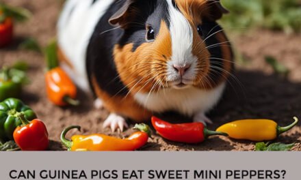 Can Guinea Pigs Eat Sweet Mini Peppers?