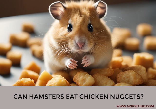 Can Hamsters Eat Chicken Nuggets?