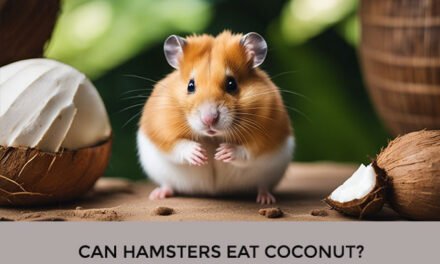 Can Hamsters Eat Coconut?